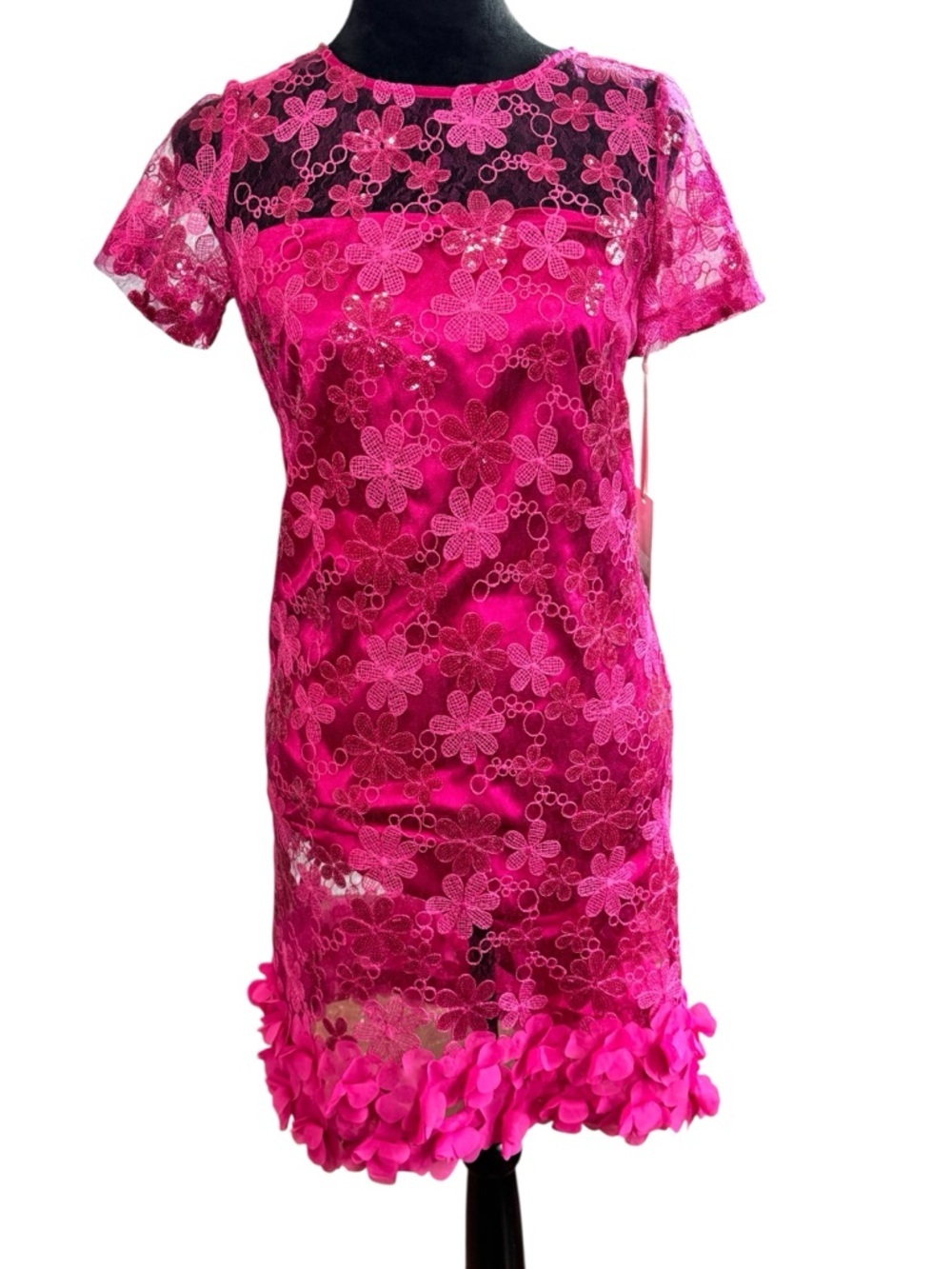 Alex Marie Pink Lace Floral Dress Sz 2 Embroidered Sequin Party Cocktail Dress - Picture 2 of 10
